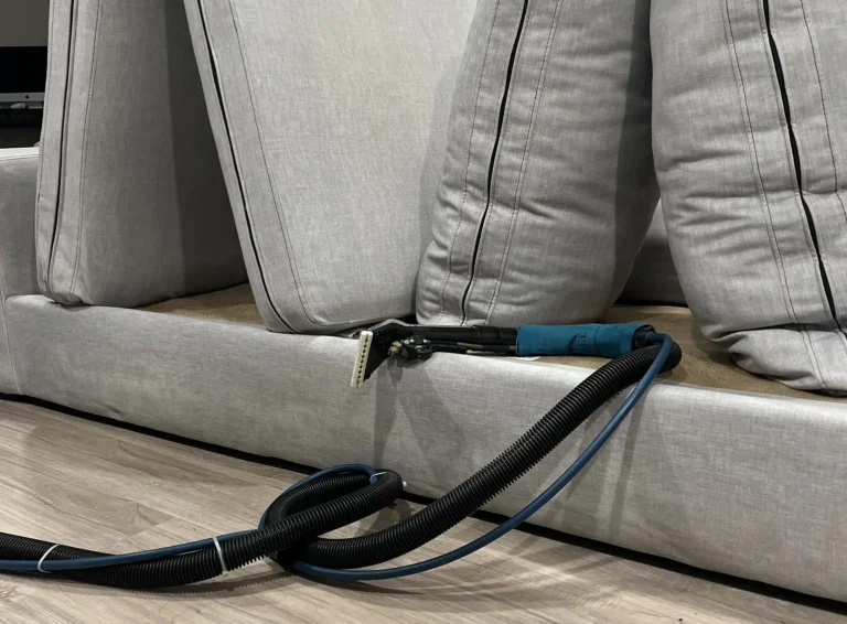 Couch cushions positioned upright during upholstery cleaning service for better access, extraction, and faster drying.