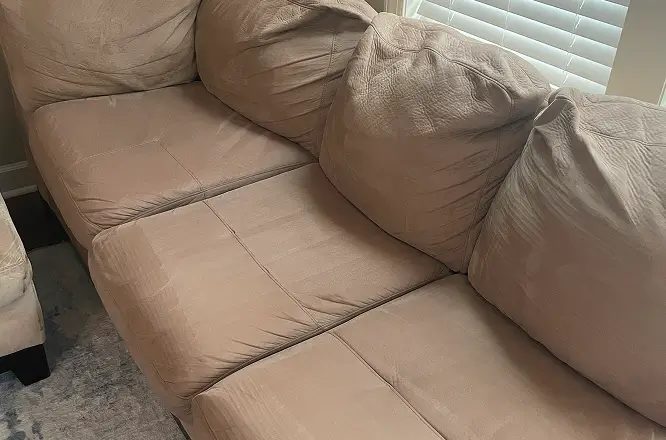Fabric sofa seat cushions after pet stain removal and upholstery cleaning with cleaner, more even-looking fabric in Raleigh, NC.
