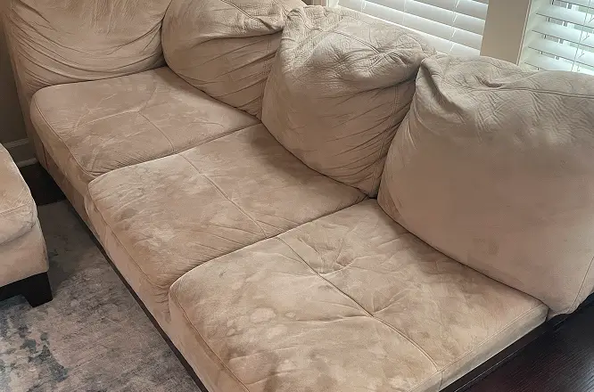 Fabric sofa seat cushions with visible pet stains and soiling before professional couch cleaning and stain treatment in Raleigh, NC.