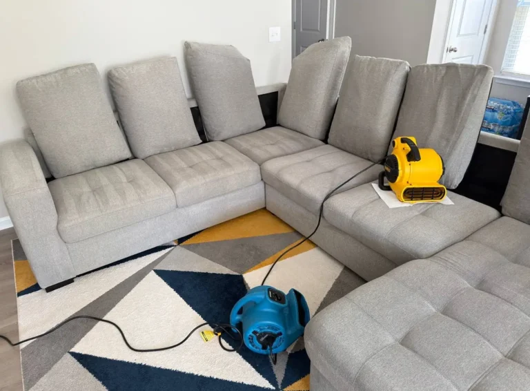 Large sectional couch cleaning setup with cushions arranged upright and air movers used to support faster drying after upholstery cleaning.