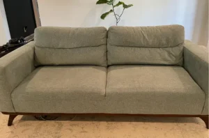 Sage green sofa before upholstery cleaning in Portland, OR, with dull, dusty fabric on the seat and back cushions.