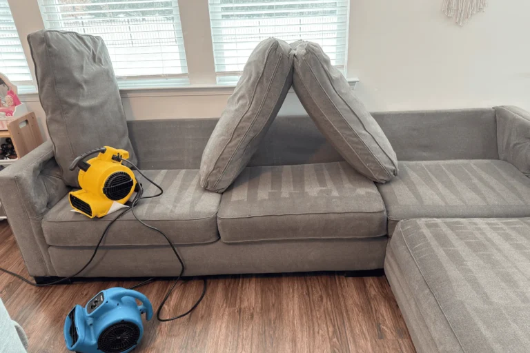DIY upholstery cleaning vs professional sofa cleaning near me with air movers drying couch after deep cleaning