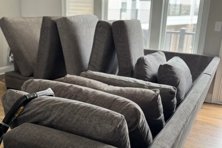 Professional upholstery cleaning technician removing allergens from a large gray fabric couch with steam cleaning equipment