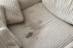 Cream corduroy couch with a dark pet stain on the seat before couch cleaning in Charlotte, NC with Couch Steamers.